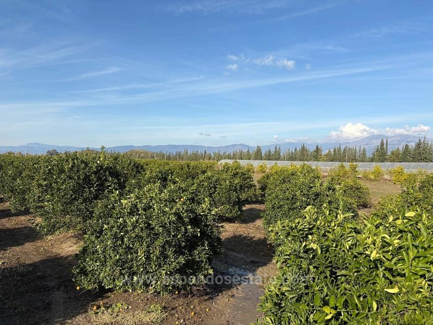 4+1 Villa Zum Verkauf In Eskiköy, Gelegen Auf Einem 14.136 M² Großen Grundstück