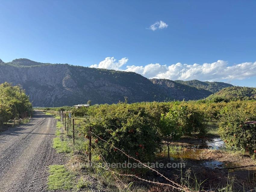 3900 M² Großes Grundstück Mit Baugenehmigung In Ortaca Yesilyurt Zu Verkaufen