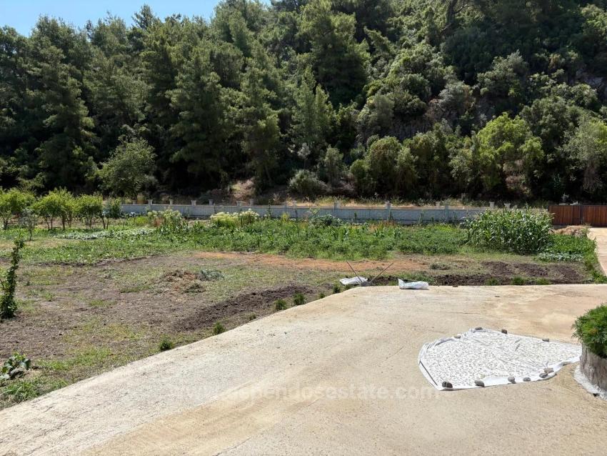 Freistehendes Holzhaus Mit 120 M² Wohnfläche Auf Einem 2500 M² Großen Grundstück In Der Gegend Von Dalyan Karadağ