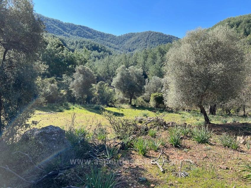 Grundstück Zum Verkauf In Gökbel, Umgeben Von Natur Und Wald.