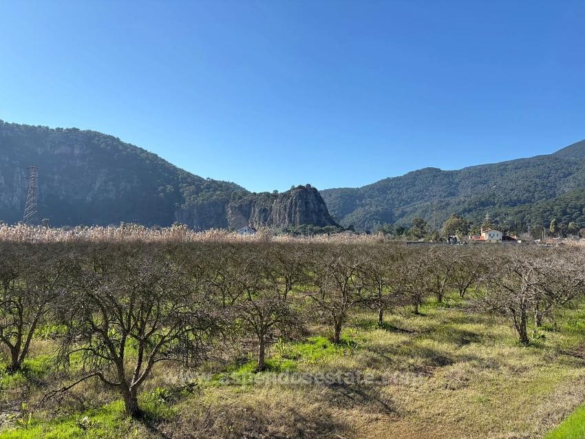 5985 M² Großes Grundstück In Dalyan Zu Verkaufen, Ausgewiesen Für 5 % Weinbau/Obstbau.
