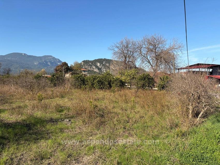 4.541 M² Großer Garten Zum Verkauf In Dalyan.