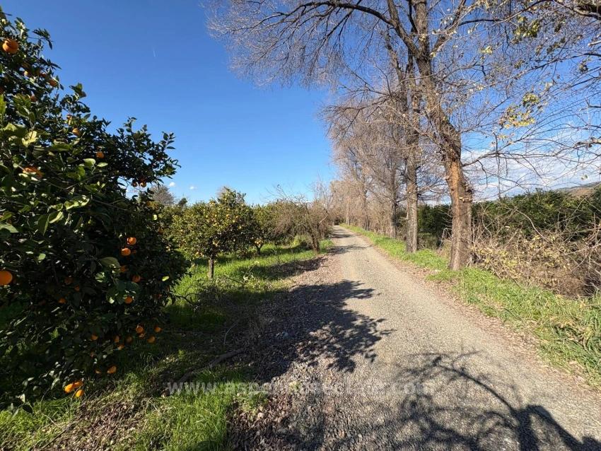 4.326 M² Großes Grundstück Im Wohngebiet Von Okçular Zu Verkaufen.