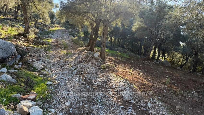 2B-Feld Von 5715 M2 Zum Verkauf Mit Vollem Meerblick In Çandır