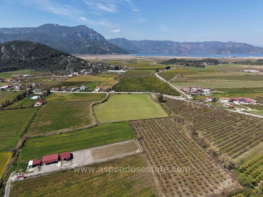 17.550 M2 Weinberg-Bahce Zum Verkauf In Der Nähe Des Dalyan Centers