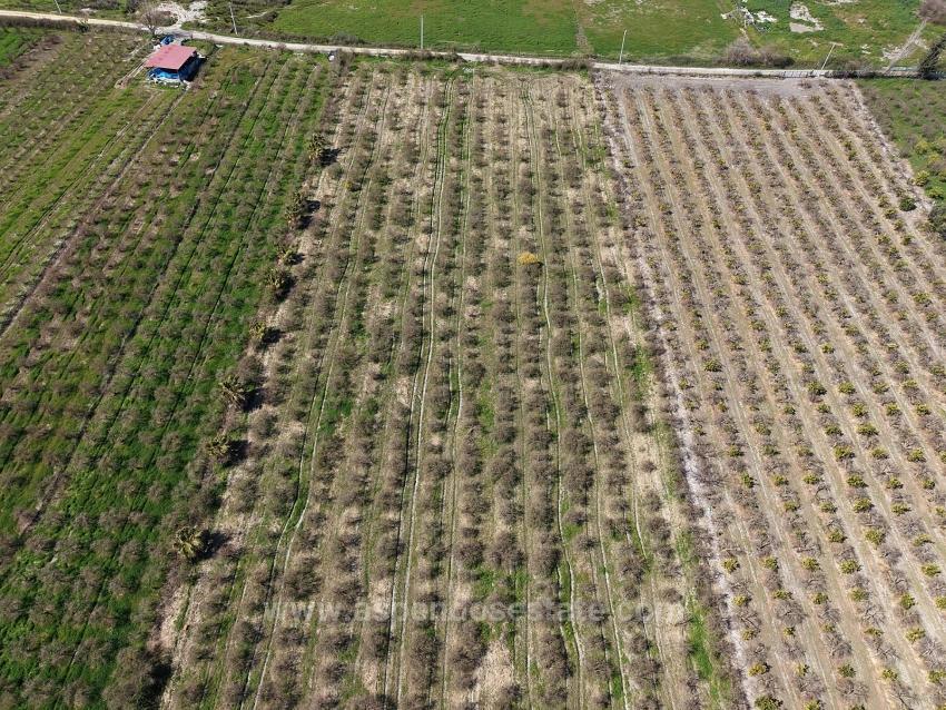 16.710 M² Granatapfelgarten Zum Verkauf Mit Seeblick In Eskiköy