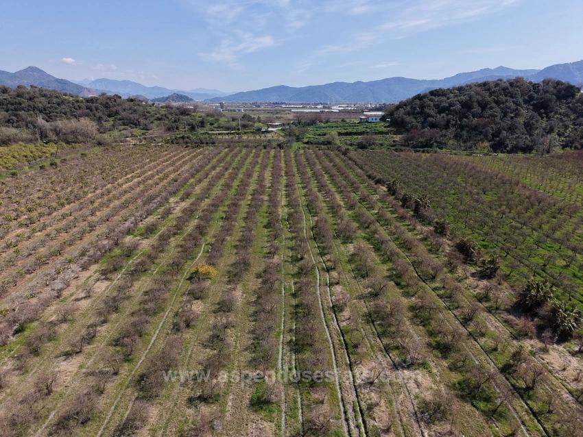 16.710 M² Granatapfelgarten Zum Verkauf Mit Seeblick In Eskiköy