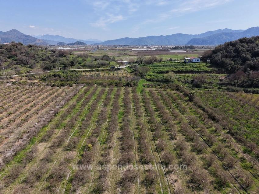 16.710 M² Granatapfelgarten Zum Verkauf Mit Seeblick In Eskiköy