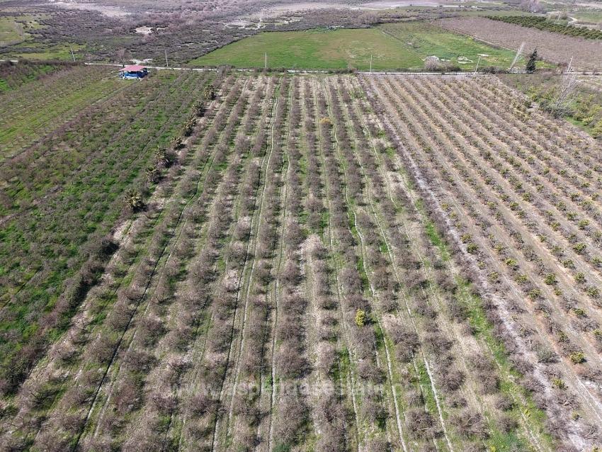 16.710 M² Granatapfelgarten Zum Verkauf Mit Seeblick In Eskiköy