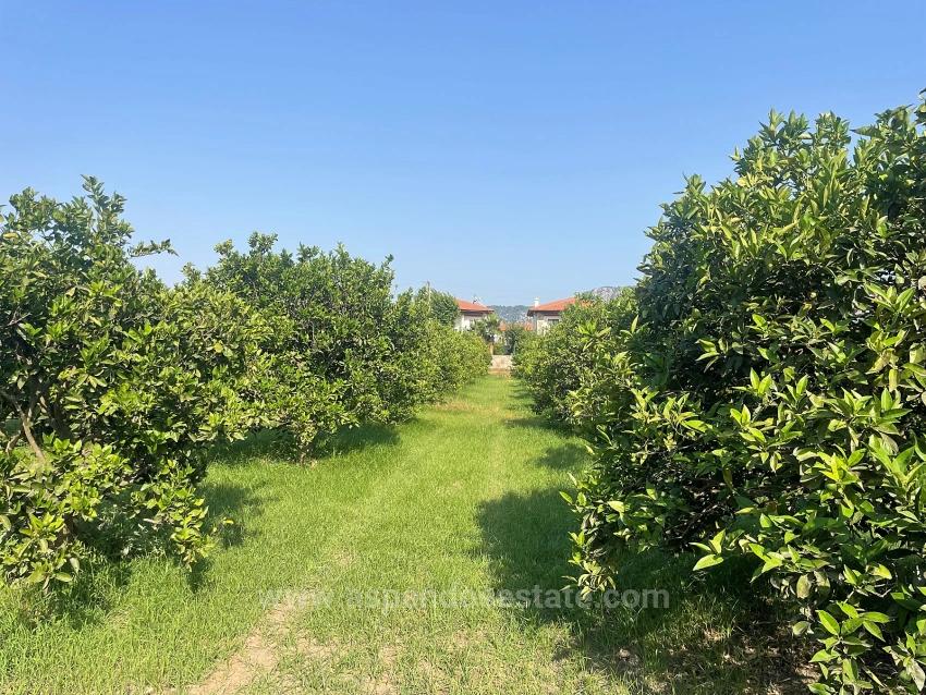 722M2 Grundstück Zum Verkauf In Dalyan Gülpınar