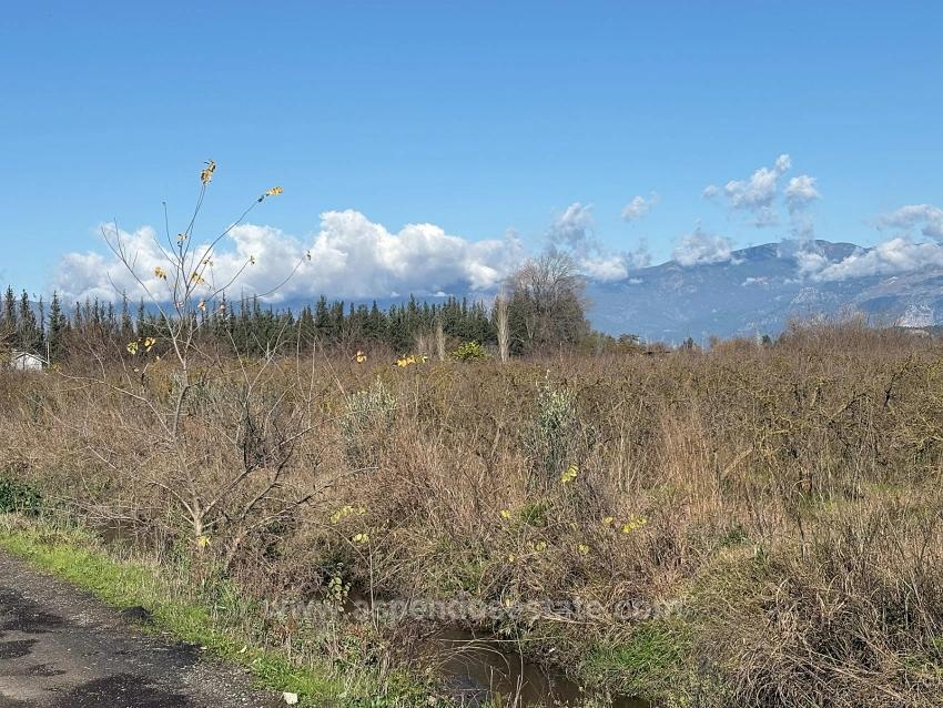 23.000 M² Freistehendes Feld Und Garten Zum Verkauf In Tepearasın