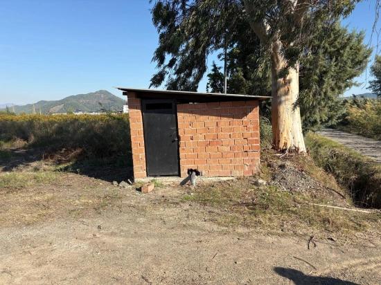 21500 M² Großer Granatapfelgarten In Eskiköy Zu Verkaufen