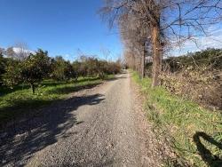 4.326 M² Großes Grundstück Im Wohngebiet Von Okçular Zu Verkaufen.