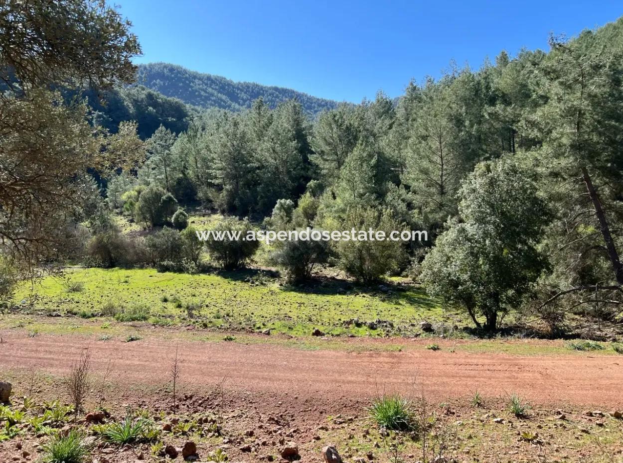 Grundstück Zum Verkauf In Natur Und Wald In Gökbel