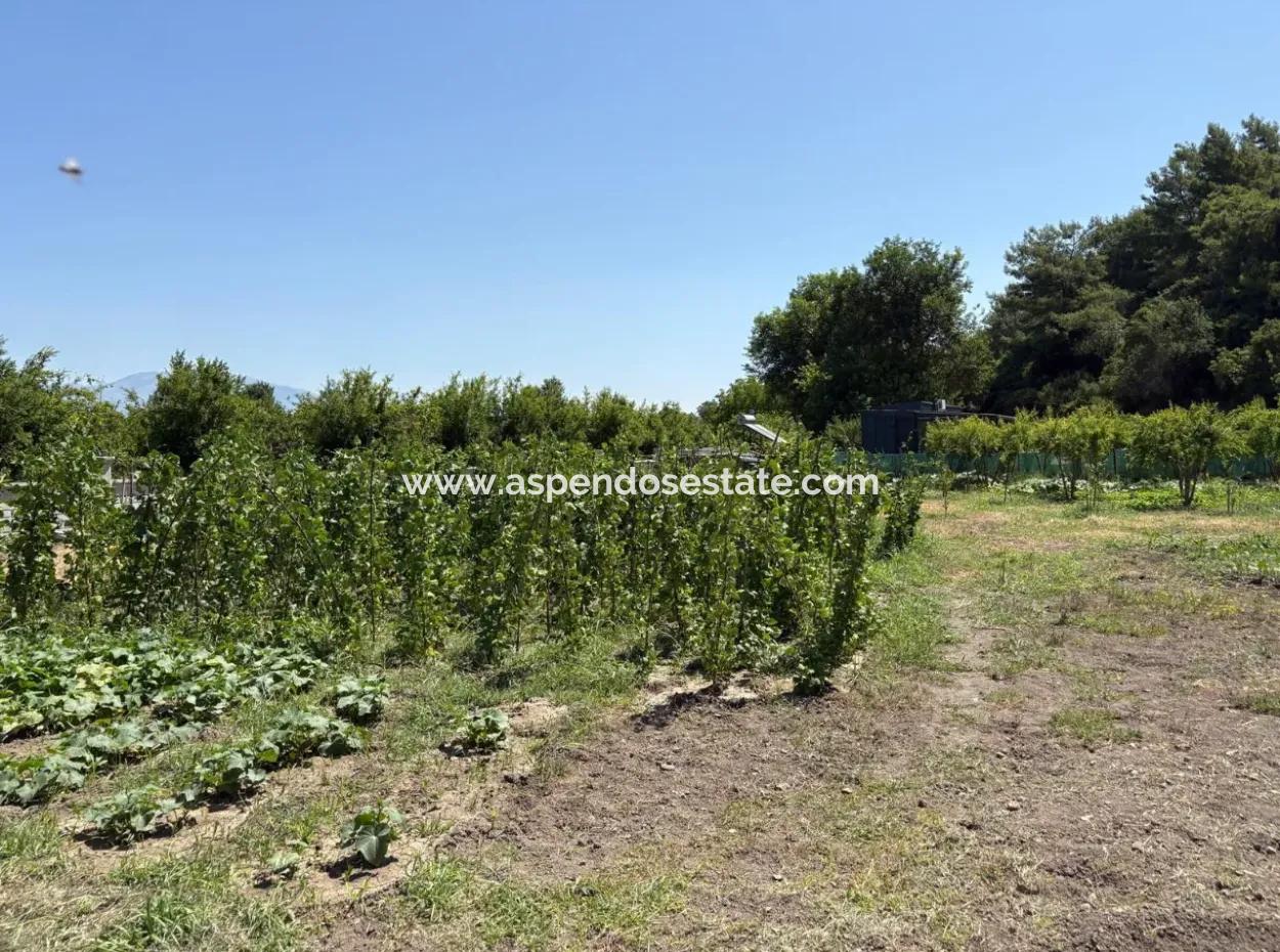 120M2 Freistehendes Holzhaus Auf Einem 2500M2 Großen Feld In Dalyan Karadağ