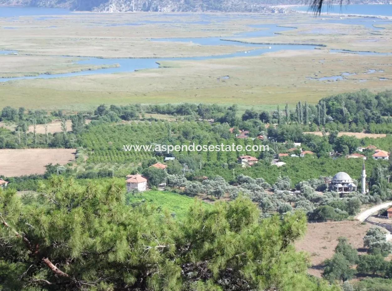 Grundstück Zum Verkauf In Çandır Meerblick 6265 M2 Grundstück Zum Verkauf