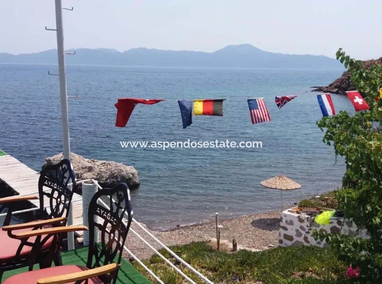 Benutzerdefinierte Dorf Am Meer Zu Verkaufen Villa Zum Verkauf In Osmanabad