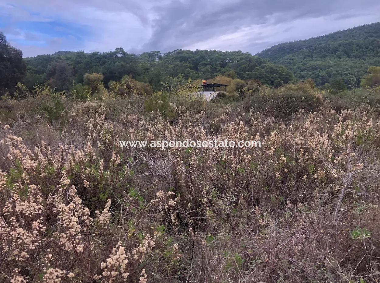 Land Zum Verkauf Null Zu 'Aml' Kanal 28768M2 Land Zum Verkauf Mit Meerblick In Camlida