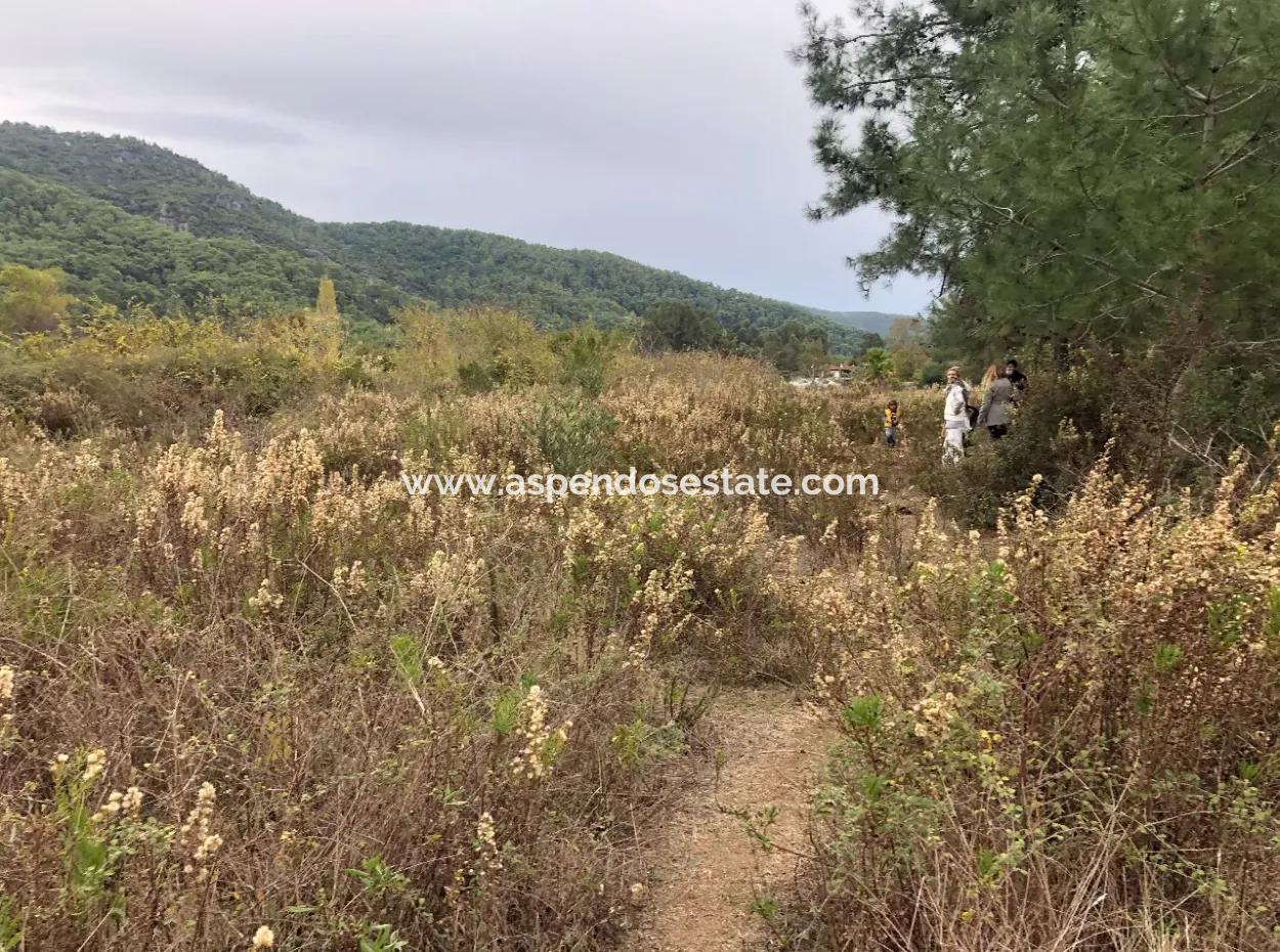 Land Zum Verkauf Null Zu 'Aml' Kanal 28768M2 Land Zum Verkauf Mit Meerblick In Camlida