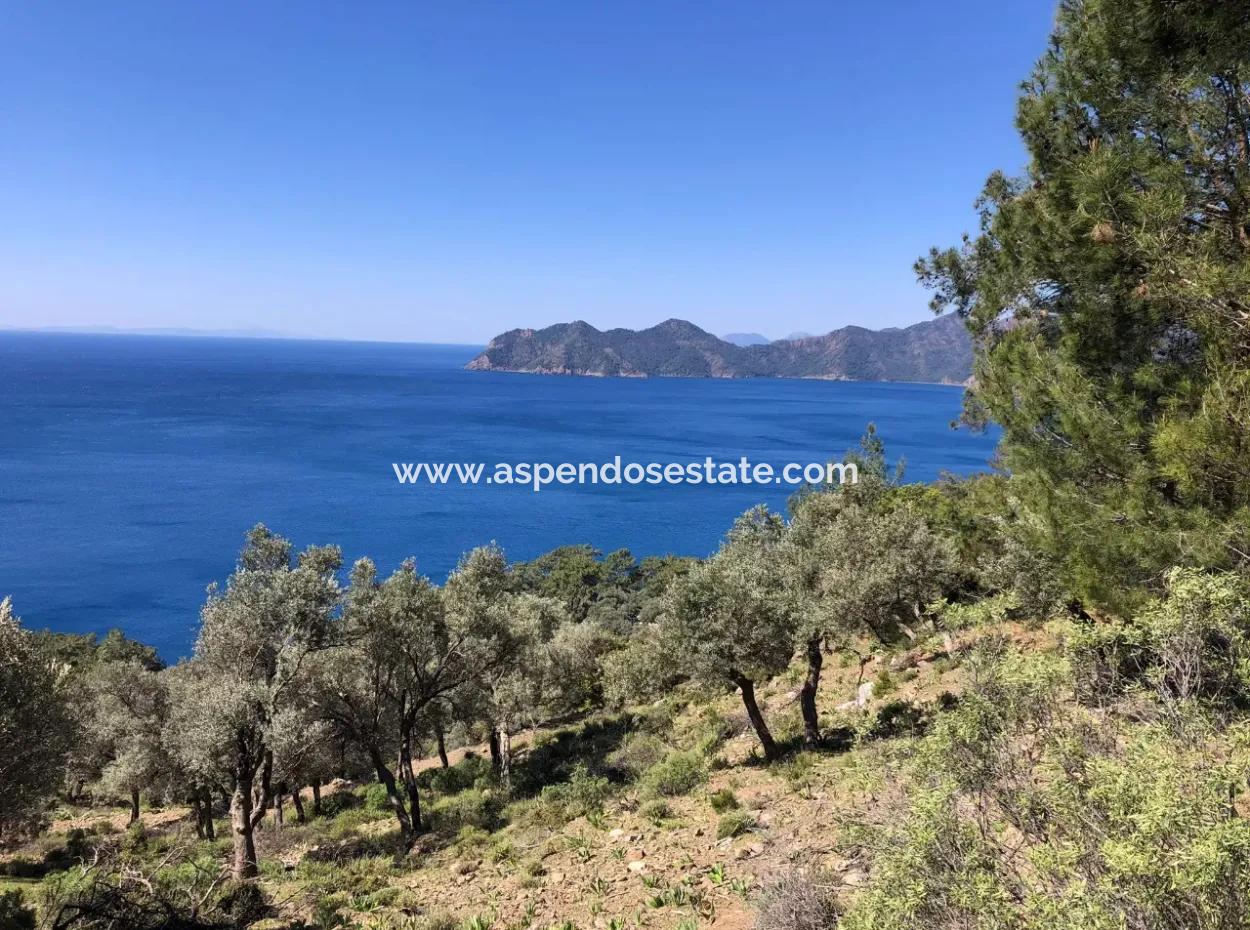 Grundstück Zum Verkauf Mit Meerblick In Çandir