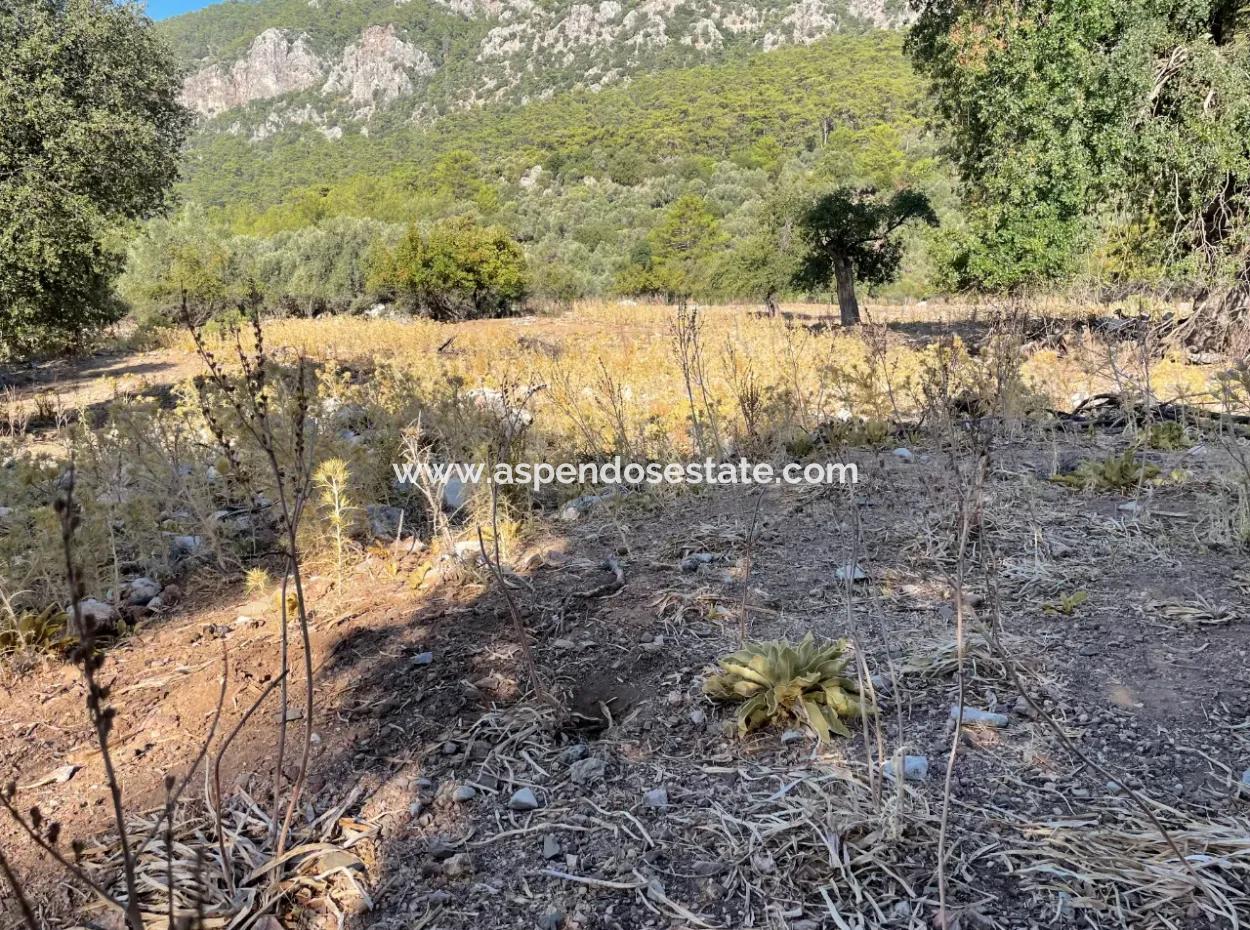 2620M2 Grundstück Zum Verkauf Mit Meerblick Von Çandir