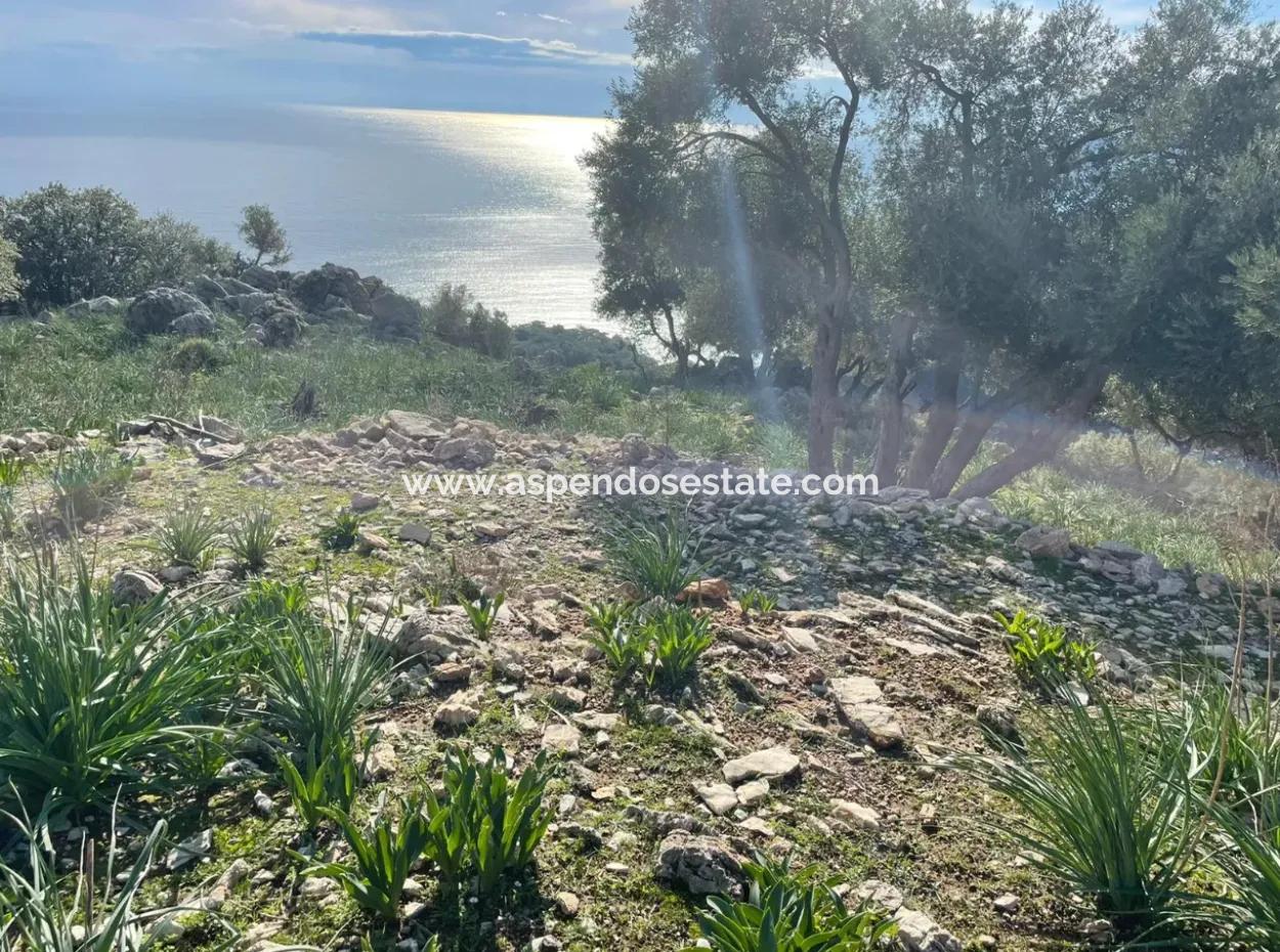 8.900M2 Feld Zum Verkauf Mit Vollem Meerblick In Ekincik