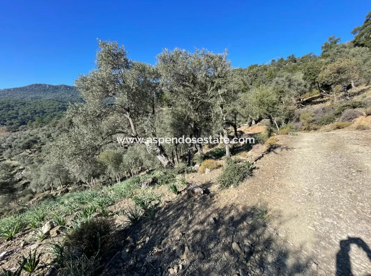 950M2 2B Feld Zum Verkauf Mit Meer- Und Seeblick In Çandır