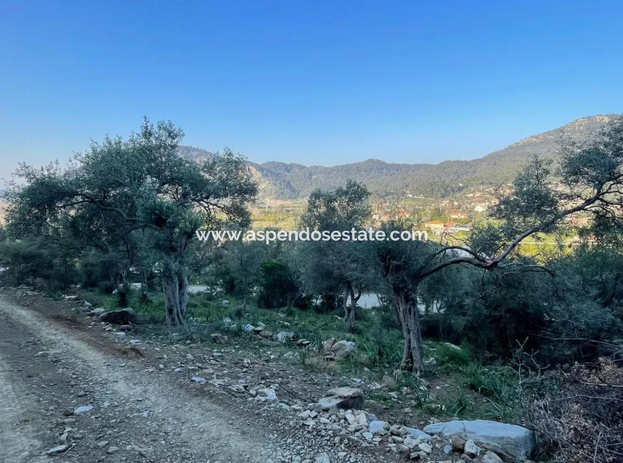 Çandır See Meerblick 2.806M2 2B Feld Zum Verkauf