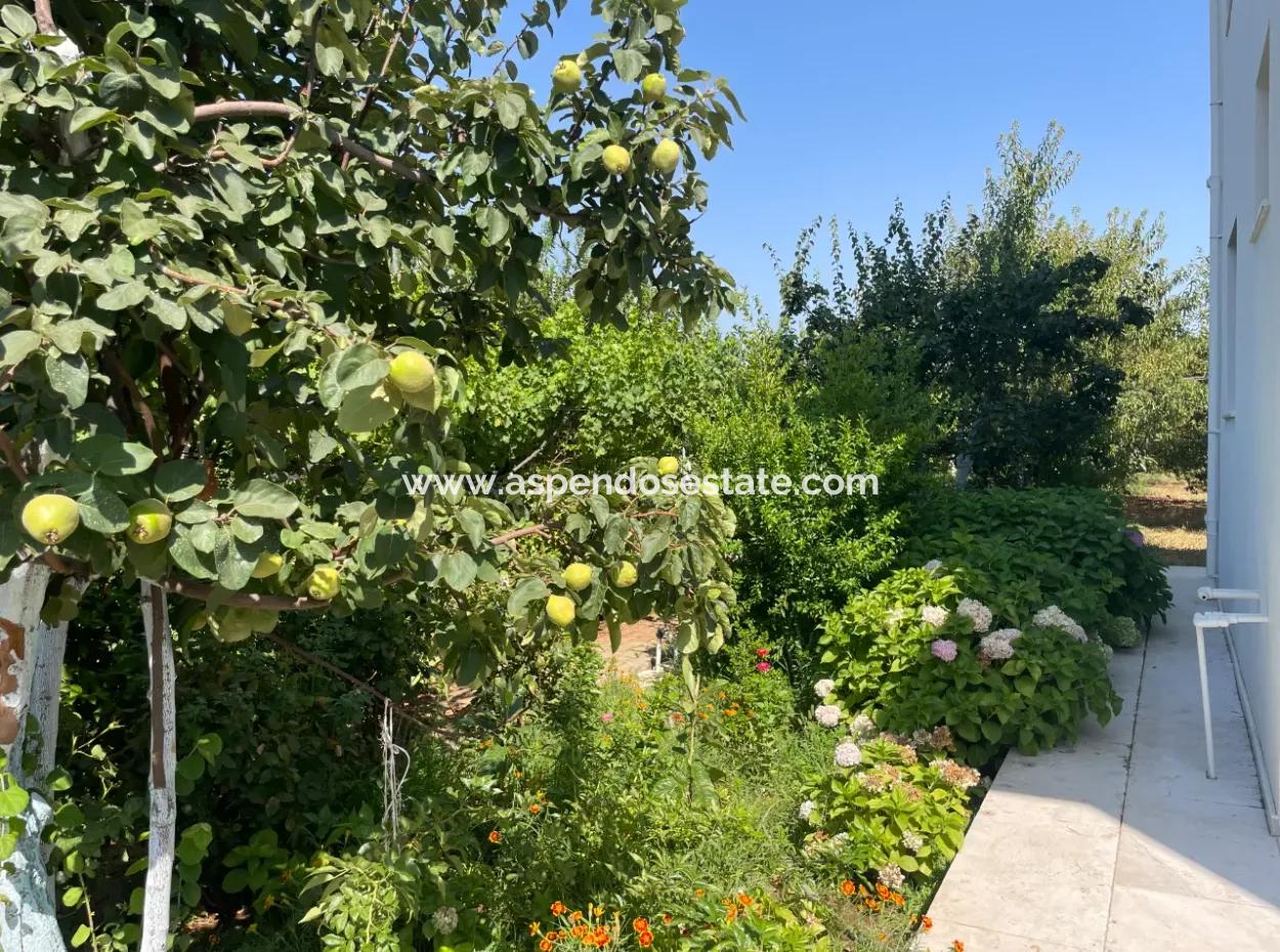 Muğla Ula Köprübaşı Mahallesin In 2378M2 Grundstück In 3 1 Vlla Zu Verkaufen