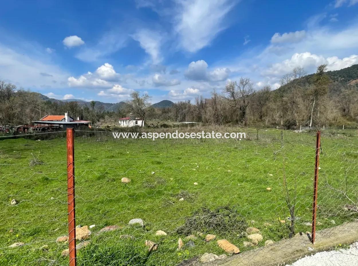 Sultaniye Büyükkaraç Mahallesin Gebraucht Kaufen Feld