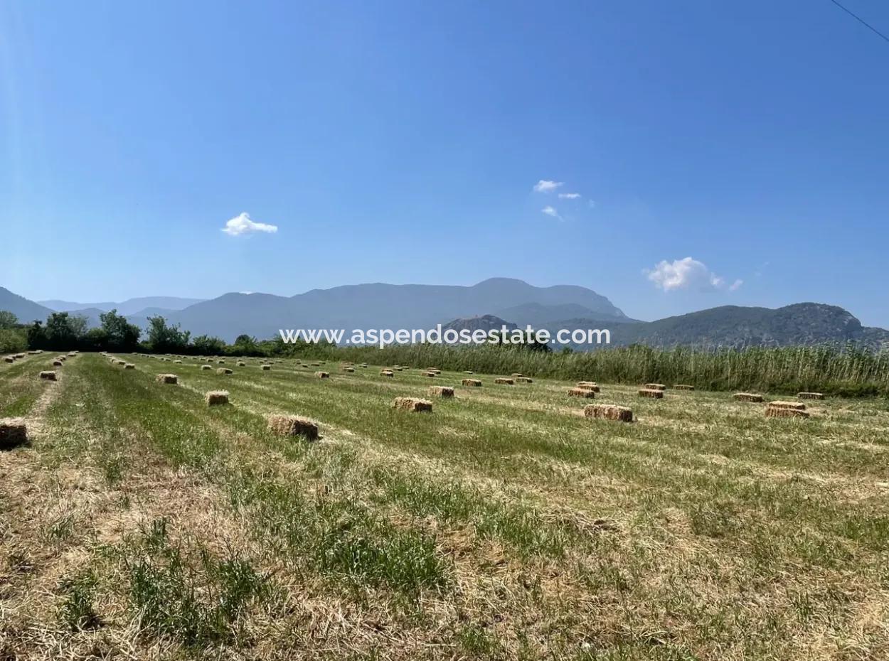 6.500 M2 Feld Zum Verkauf An Der Iztuzu-Straße In Dalyan