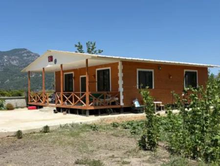 120M2 Freistehendes Holzhaus Auf Einem 2500M2 Großen Feld In Dalyan Karadağ