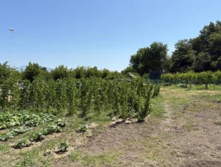 120M2 Freistehendes Holzhaus Auf Einem 2500M2 Großen Feld In Dalyan Karadağ