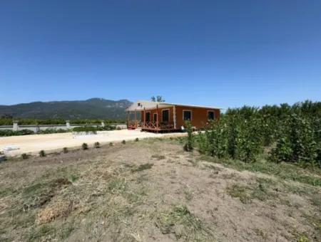 120M2 Freistehendes Holzhaus Auf Einem 2500M2 Großen Feld In Dalyan Karadağ