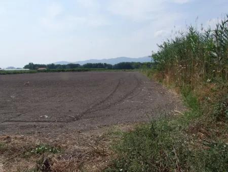 Bauernhof Zum Verkauf In Dalyan Eskikoy Eskikoy Oriya 14,900M2 Grundstück Zu Verkaufen Feld