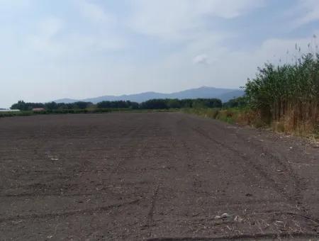 Bauernhof Zum Verkauf In Dalyan Eskikoy Eskikoy Oriya 14,900M2 Grundstück Zu Verkaufen Feld