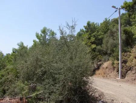 Mit Vollem Meerblick Zum Verkauf In Sarigerme, Grundstücke Zum Verkauf