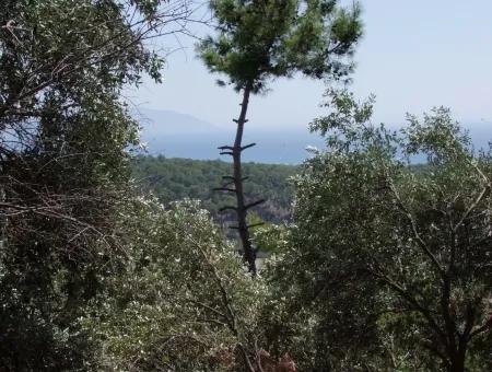 Mit Vollem Meerblick Zum Verkauf In Sarigerme, Grundstücke Zum Verkauf