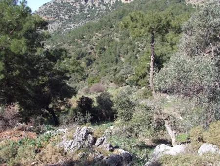 Landwirtschaftliche Grundstück Zum Verkauf Mit Meerblick Zum Verkauf In Gokbel