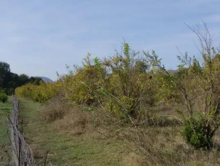 Güzelyurt Land Zu Verkaufen Dorf Gebaut 6670M2 Land Zum Verkauf