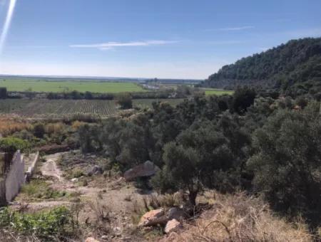 Grundstück Zum Verkauf Mit Meerblick Von Fevziye