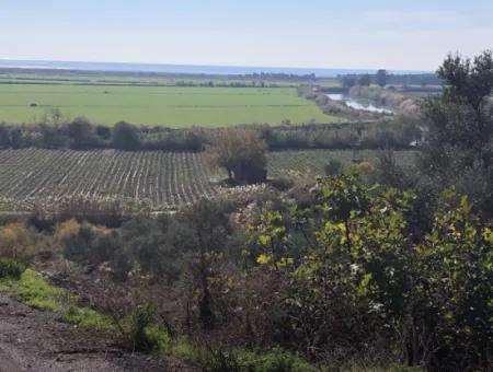 Grundstück Zum Verkauf Mit Meerblick Von Fevziye