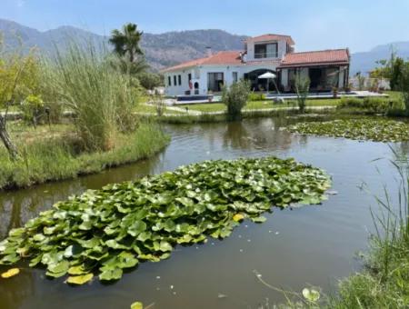 Dalyan 4 1 Luxusvilla Zum Verkauf In 7000M2 Grundstück