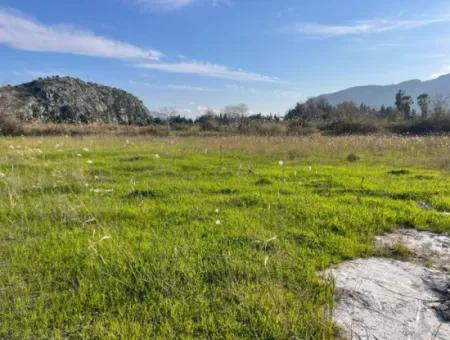 6800 M2 Grundstück Zum Verkauf In Dalyan Mit 5% Wohngebiet