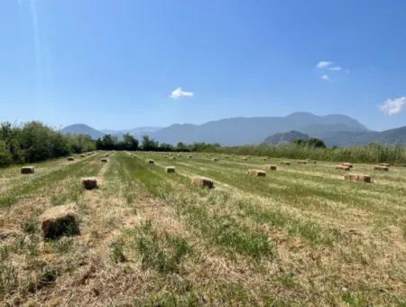 6.500 M2 Feld Zum Verkauf An Der Iztuzu-Straße In Dalyan