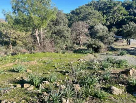 2B Grundstück Zum Verkauf Mit Meerblick In Çandır