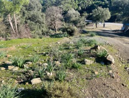 2B Grundstück Zum Verkauf Mit Meerblick In Çandır