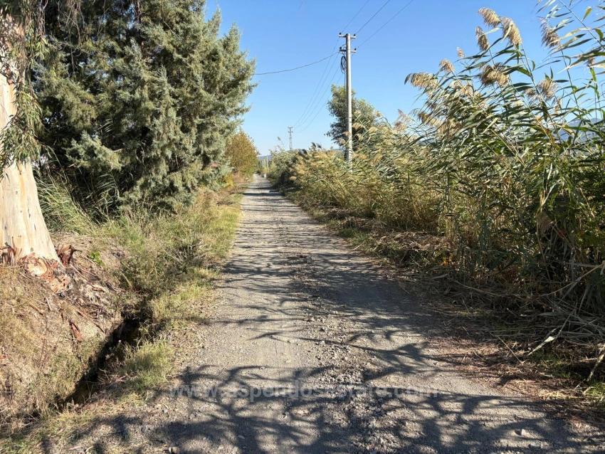 21500M2 Pomegranate Garden For Sale In Eskiköy