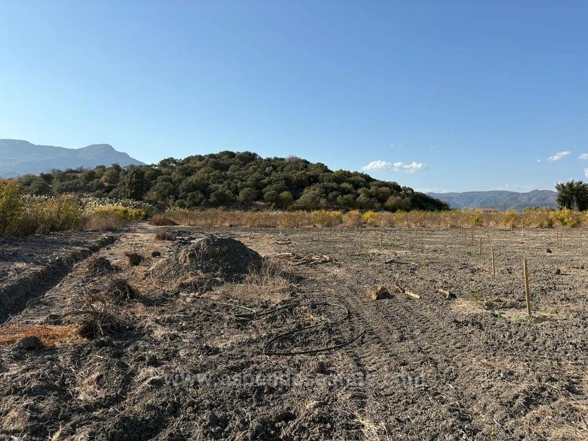 19,663 M² Farm Land And House In Eskiköy