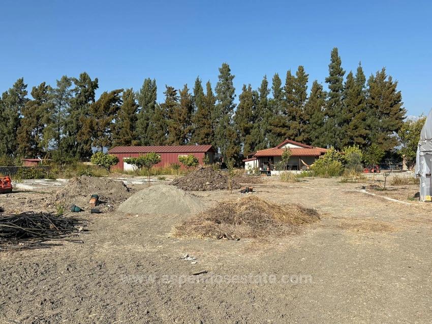 19,663 M² Farm Land And House In Eskiköy